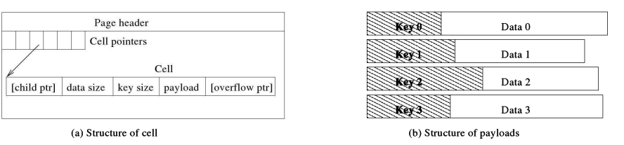 Figure 6.9:Cell organization.